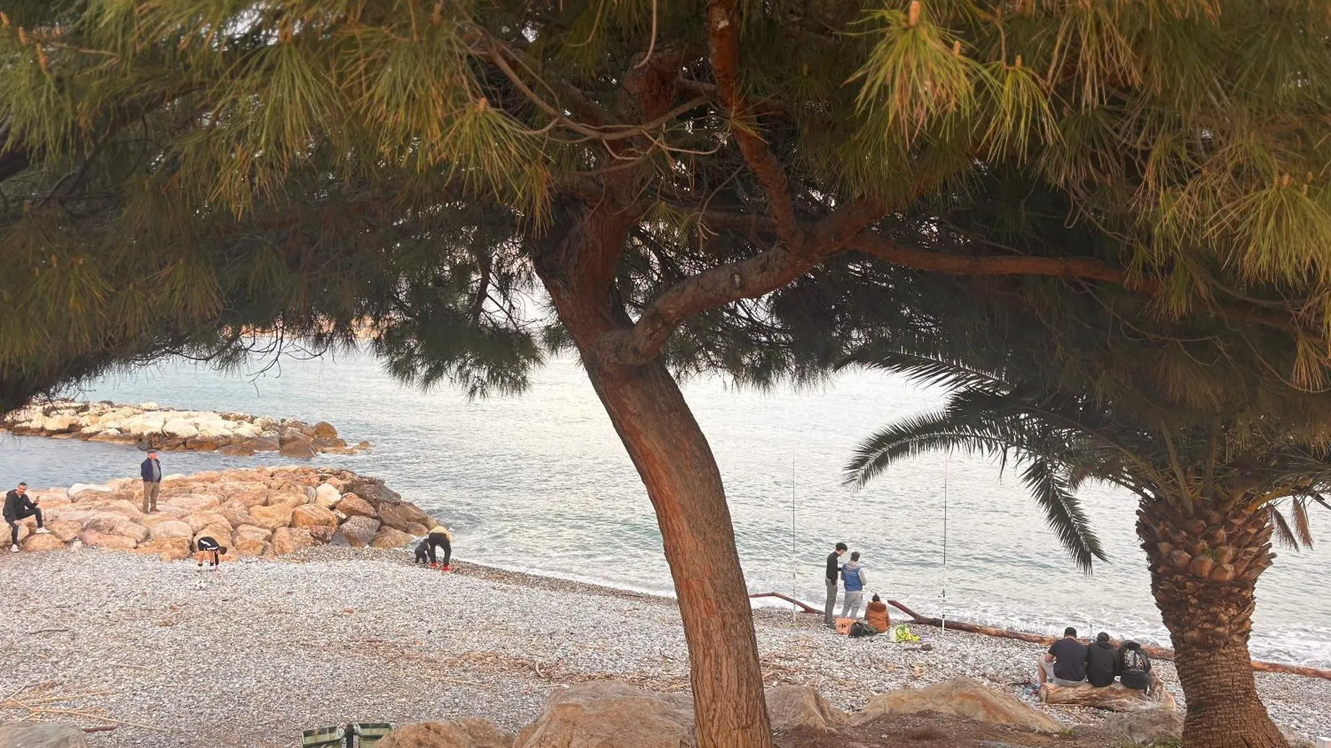 Le Nid Blanc Nice Centre France
